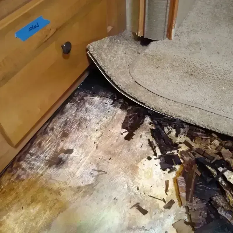 Wood Floor Water Damage in West Saint Paul, MN